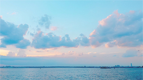 hanmii:photographed by me!!