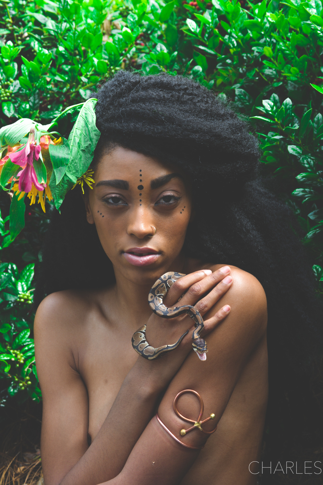 lasergunsandcongodrums:  Garden of Eden Photography by Spencer Charles 