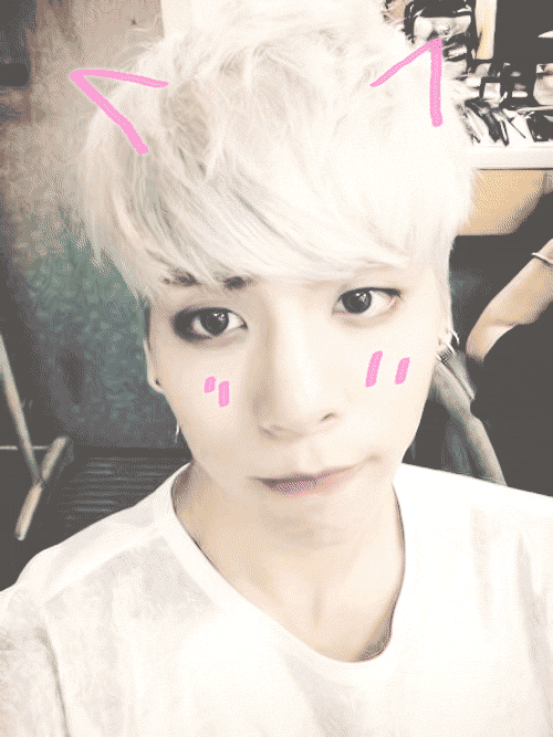  Kim Puppy   