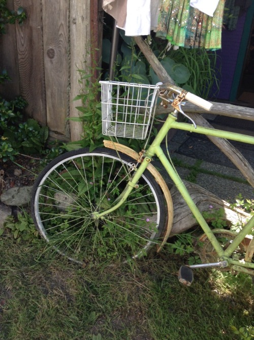 spirit-healing:  cloudsprout:  Saw some pretty cute plants nd a bike!  crystal and nature healing