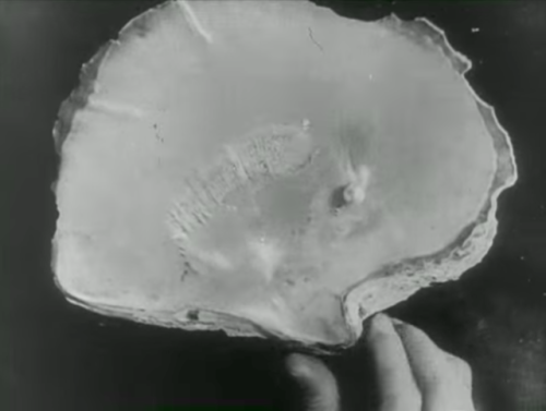 communicants:La perle (Henri d’Ursel, 1929)