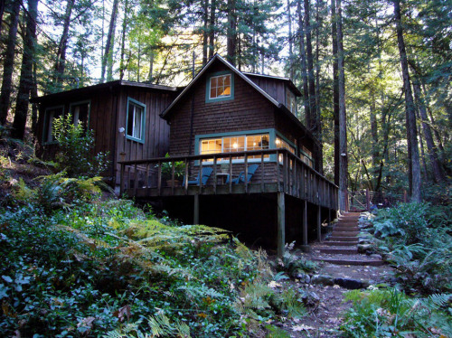 chlorine-bath:dreamsyoudliketoshare:Creek side Cabin A restored 1920s cabin in Calistoga, California