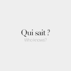 bonjourfrenchwords:  Qui sait ? | Who knows? | /ki sɛ/