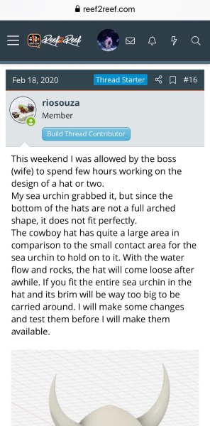 letsgetsalty:Agdgsgsgsg I’m LIVING for this Reef2Reef thread. This guy was worried about his urchins getting sunburnt so he made them little hats