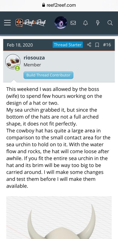letsgetsalty:Agdgsgsgsg I’m LIVING for this Reef2Reef thread. This guy was worried about his urchins getting sunburnt so he made them little hats
