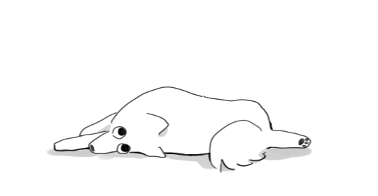 sideways pomeranian