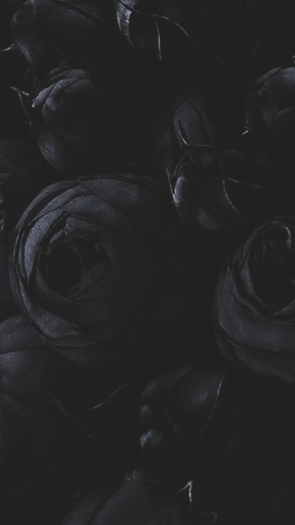 psychoscreen:P S Y C H O S C R E E N ⠀⠀Black Roses