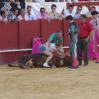 xtoxictears:  theveganmothership:    In an extraordinary act of bravery, an animal