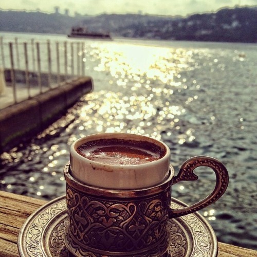 🇶🇦 دآنـه