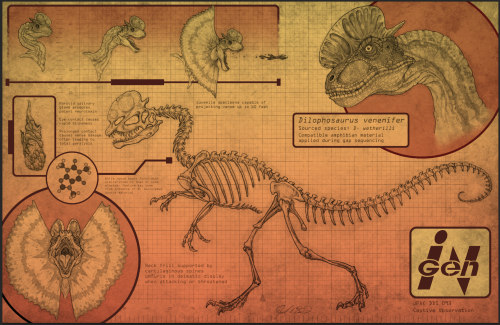 New Dilophosaurus anatomy poster! This was a commission, and was a ton of fun to work on. Really hop