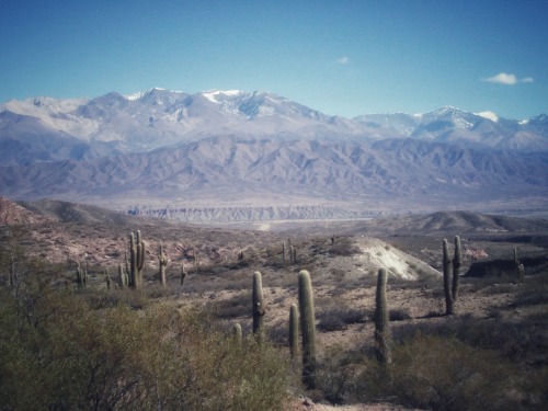 Tres vistas, Parque Nacional los Cordones, Salta, 2007.