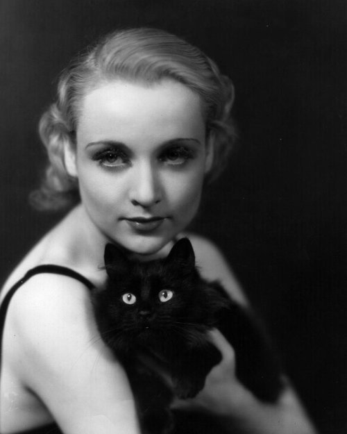 Porn photo Carole Lombard. With a nice cat.
