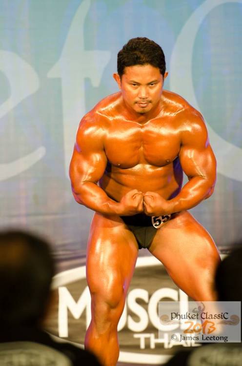 mukimukithai: Medium bear Thai Navy muscle - Beer Nakarin Yooyong