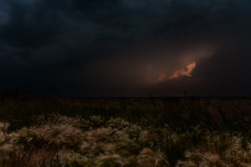 earthandanimals:  Elusive gigawatts of energy by marateaman 