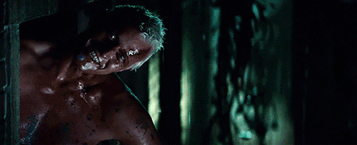 Blade Runner (1982) | Dir. Ridley Scott; Cin. Jordan Cronenweth