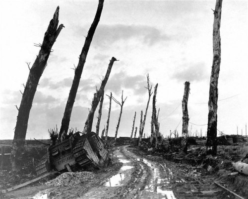bmashina:    Poelkapelle, Belgium. December 1918.   