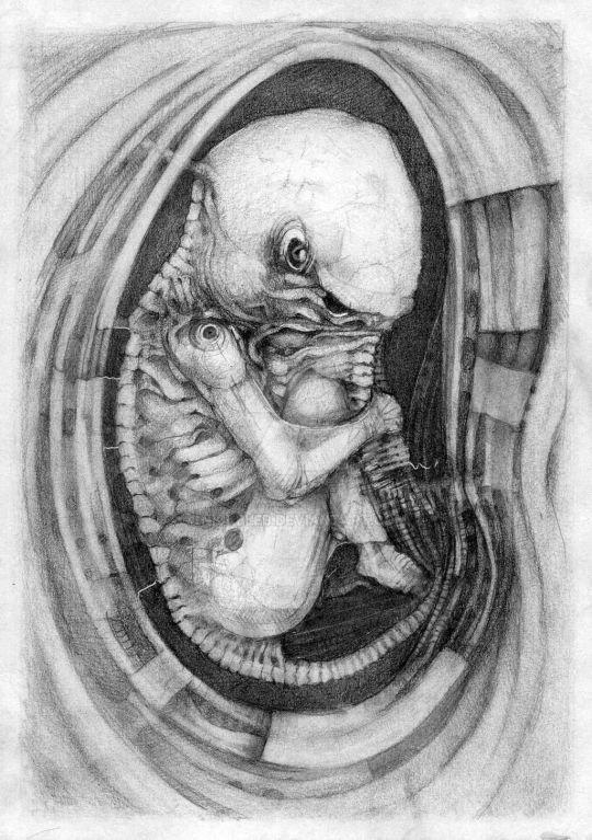 Genus by nickbleb