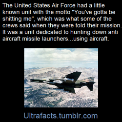 ultrafacts:    Wild Weasel is a code name