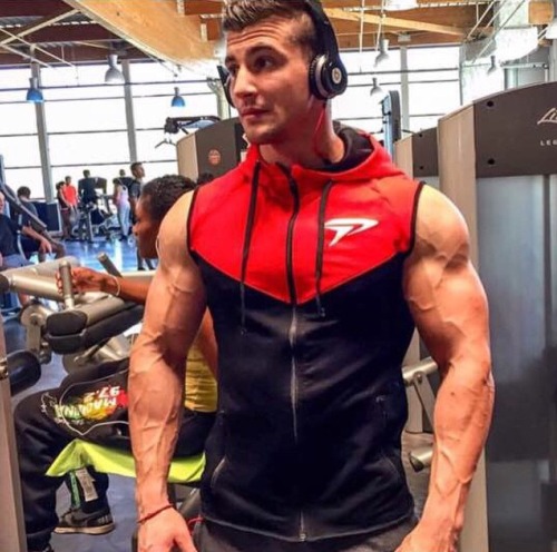 Adonis Files