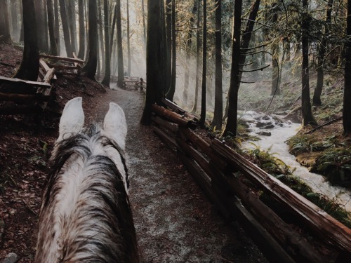 wildlxng: couldn’t decide which I liked more so you get both
