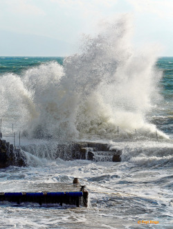 gejianxin:  Big Wave at Covo di Nord Est Big wave at Covo di Nord est  I love a crazy sea storm 