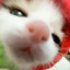 purringpetals