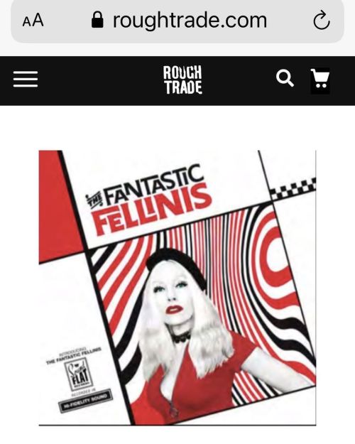 We - @thefantasticfellinis - are thrilled to announce that our debut album, Introducing the Fantasti