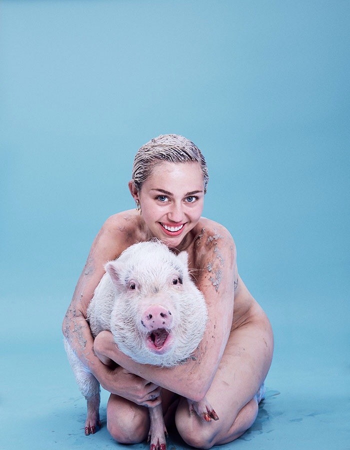 Miley cyrus nude with pig