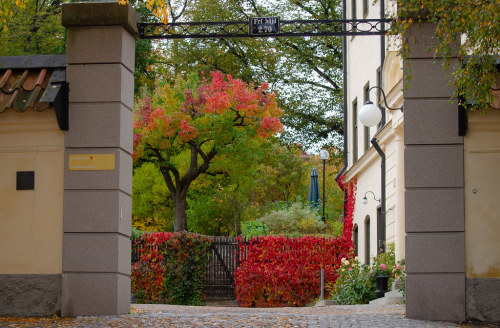 allthingseurope: Uppsala, Sweden (by Ricardo Feinstein)