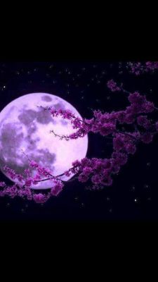 submissiveinclination:  beautymothernature:  Purple moon share moments  Goodnight Moone…  Purple!!!