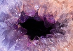 peacheyplums:Amethyst 