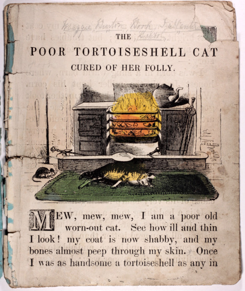 The Poor Tortoiseshell Cat cured of her follyDean’s New Series of Coloured Tale Books - c1855R