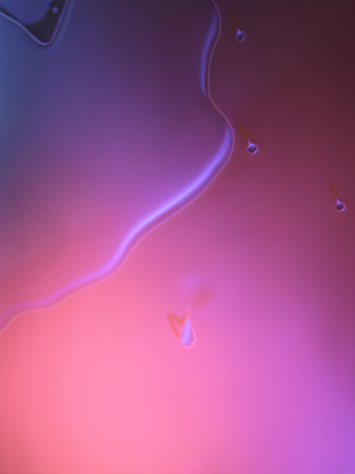 delaneyallen:  Untitled (2013). From the series “Getting Lost” on view at Nationale in Portland, Oregon until Nov. 17. 
