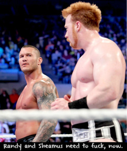 wwewrestlingsexconfessions:  Sheamus and