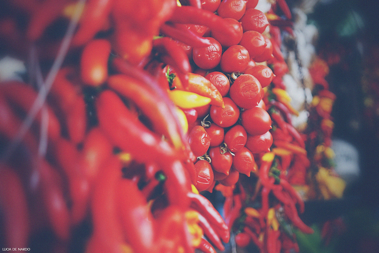 Colors of Life - Ischia