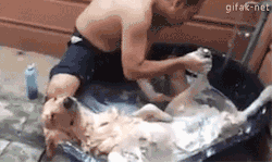 funny-gif-1:  Other Funny Gİfs http://funny-gif-1.tumblr.com/