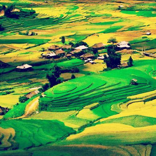 Terrace-ricefields in Sapa, Lao Cai #VietnamTag #Legendtravelgroup #ricefields #terracedricefields #