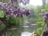 etherea1ity:Monet’s garden ( via )