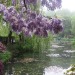 etherea1ity:Monet’s garden ( via )