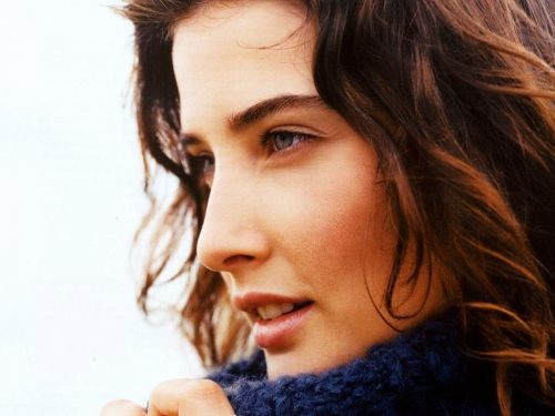 infintsky:  Cobie Smulders aka Robin Scherbatsky