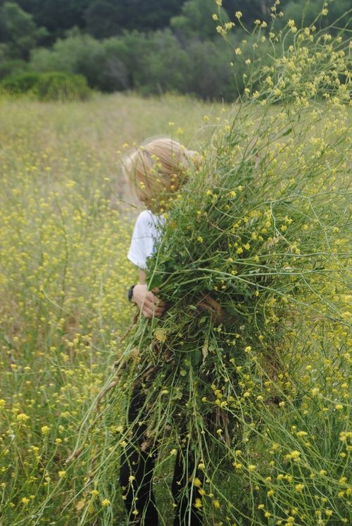 Wildflower Moodboard