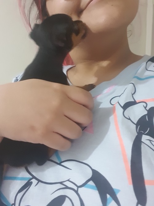 Me, 2 Years Ago In Colombia: I Don't Understand Why People Spend So Much Money To Bring A Dog To Another