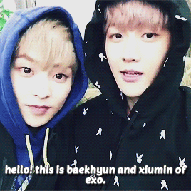 fyxiubaek:adorable xiubaek introducing EXO V Channel 