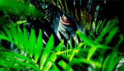 im-rey:   They’re dinosaurs. ‘Wow’