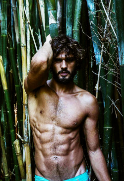 Marlon Teixeira