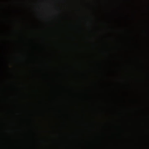 Bioluminescence Stimboard
