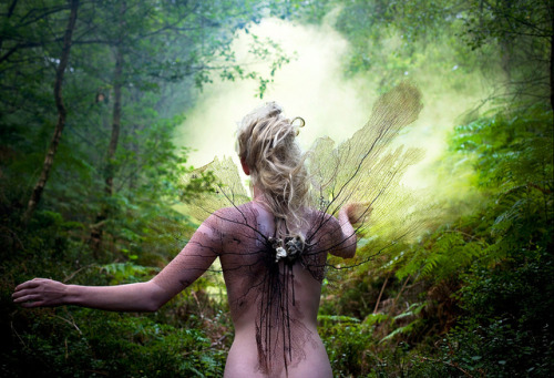 jared-tyler:  Wonderland “The Distant Pull of Remembrance” by Kirsty Mitchell on Flickr.