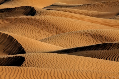 Ad-Dahna Desert, Saudi Arabia