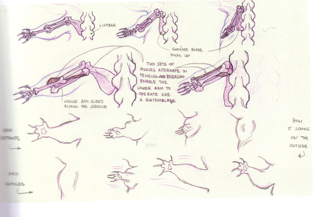 disneyconceptsandstuff:  Model Sheets from Lilo &amp; Stitch 