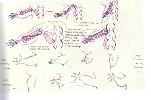 disneyconceptsandstuff:  Model Sheets from porn pictures